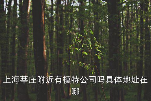 上海市閔行區文化公園公司，上海莘莊附近有模特公司嗎具體地址在哪