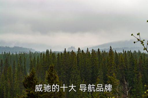 品牌導航,關注品牌首選飛歌導航領域四大類別分布