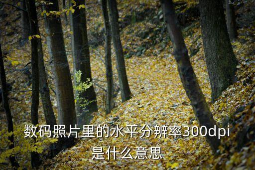 分辨率300dpi，電子稿分辨率300dpi是什么意思