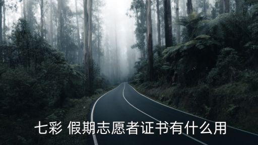 七彩假期,七彩假期志愿者卡功能介紹:提供志愿服務相關保障