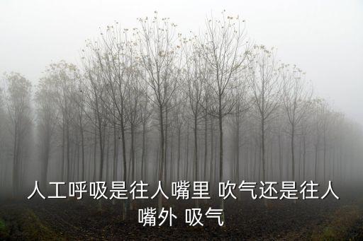  人工呼吸是往人嘴里 吹氣還是往人嘴外 吸氣