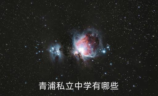 青浦私立中學(xué)有哪些