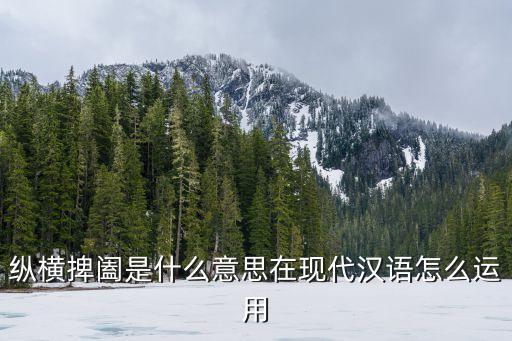 縱橫捭闔是什么意思在現代漢語怎么運用