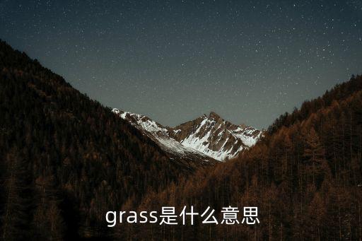  grass是什么意思