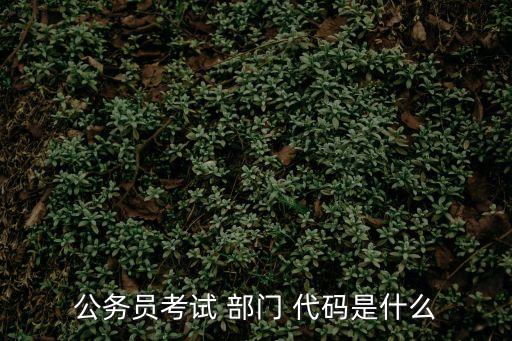 公務(wù)員考試 部門 代碼是什么