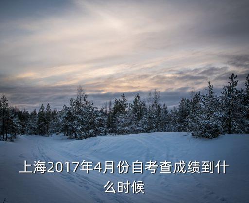 上海2017年4月份自考查成績到什么時候