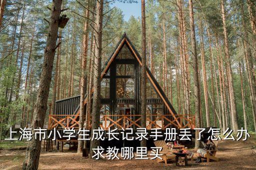 上海市小學成長空間，上海市小學生成長記錄手冊丟了怎么辦求教哪里買