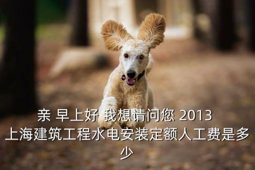親 早上好 我想請問您 2013 上海建筑工程水電安裝定額人工費是多少