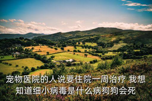 寵物醫院的人說要住院一周治療 我想知道細小病毒是什么病狗狗會死