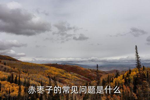 赤棗子，赤棗子的常見問題是什么
