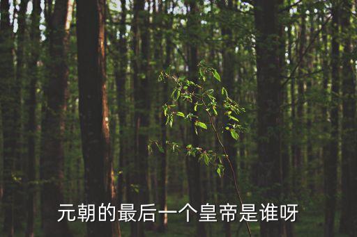 元朝最后一個皇帝，元朝最后一位皇帝是誰