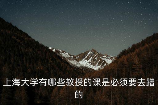 上海市安保體系第二審核中心，求指導(dǎo)在上海有個(gè)工程需要技防辦驗(yàn)收監(jiān)控安防這塊的求大神