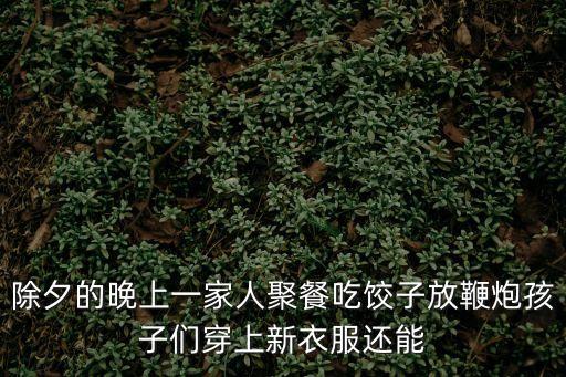 除夕的晚上一家人聚餐吃餃子放鞭炮孩子們穿上新衣服還能
