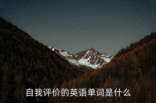 自我評價的英語單詞是什么