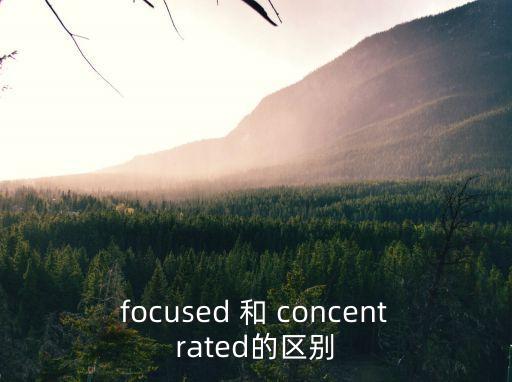 focused 和 concentrated的區別