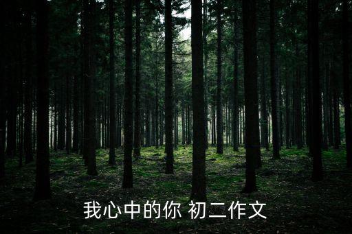 我心中的你 初二作文