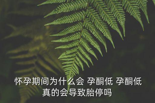 懷孕孕酮低是兒子,孕酮低可能導致流產嗎?