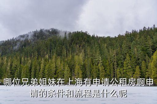 哪位兄弟姐妹在上海有申請公租房啊申請的條件和流程是什么呢