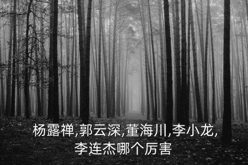  楊露禪,郭云深,董海川,李小龍,李連杰哪個厲害