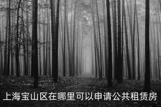 上海寶山區在哪里可以申請公共租賃房
