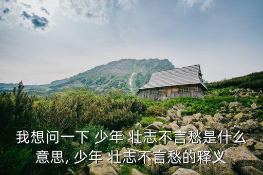 我想問一下 少年 壯志不言愁是什么意思, 少年 壯志不言愁的釋義
