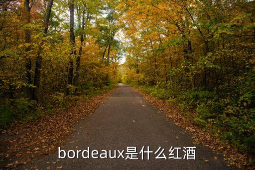 bordeaux是什么紅酒