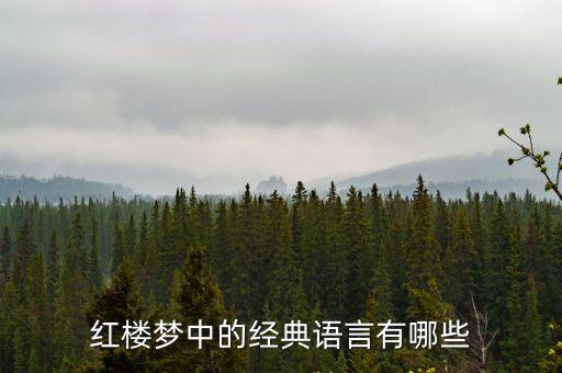 紅樓夢(mèng)中的經(jīng)典語言有哪些