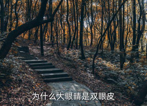為什么大眼睛是雙眼皮