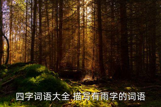 描寫雨的四字詞語，有哪些形容雨的四個字詞語
