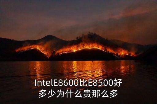 IntelE8600比E8500好多少為什么貴那么多