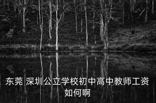 東莞公辦在編小學待遇17萬，東莞公辦小學一個月多少錢