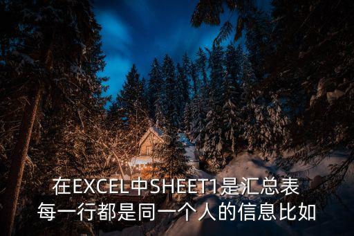sheet1，excel中的sheet1是啥意思