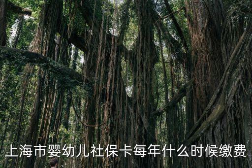 上海市嬰幼兒社保卡每年什么時候繳費
