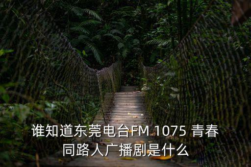 誰知道東莞電臺FM 1075 青春同路人廣播劇是什么