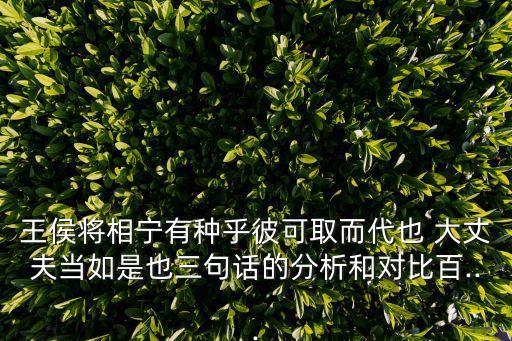 王侯將相寧有種乎彼可取而代也 大丈夫當如是也三句話的分析和對比百...
