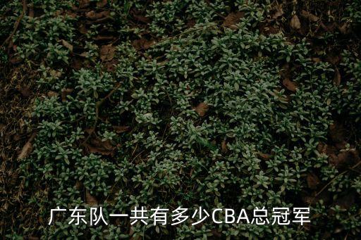 廣東籃球隊，廣東隊一共有多少CBA總冠軍