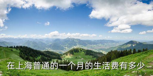 上海市生活費，在上海普通的一個月的生活費有多少