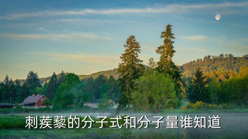 tribulus，tribulus是純天然保健品嗎