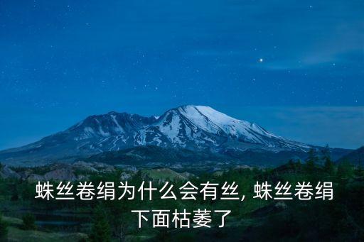  蛛絲卷絹為什么會有絲, 蛛絲卷絹下面枯萎了