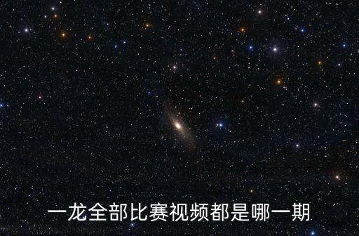 東莞一龍視頻2015，武僧一龍的最新比賽視頻在哪可以看