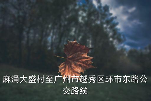 麻涌大盛村至廣州市越秀區環市東路公交路線