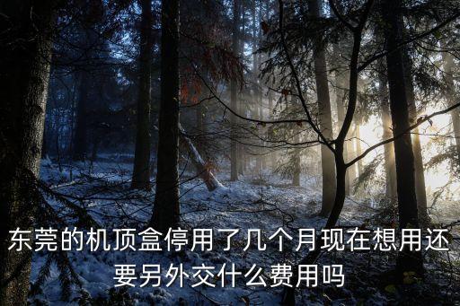 東莞的機頂盒停用了幾個月現在想用還要另外交什么費用嗎