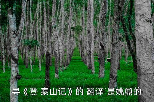 登泰山記翻譯,第二集:泰山以南的山谷和山頂