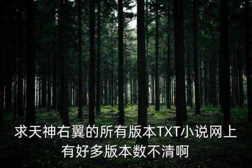 求天神右翼的所有版本TXT小說(shuō)網(wǎng)上有好多版本數(shù)不清啊