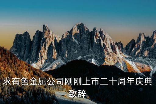 求有色金屬公司剛剛上市二十周年慶典致辭