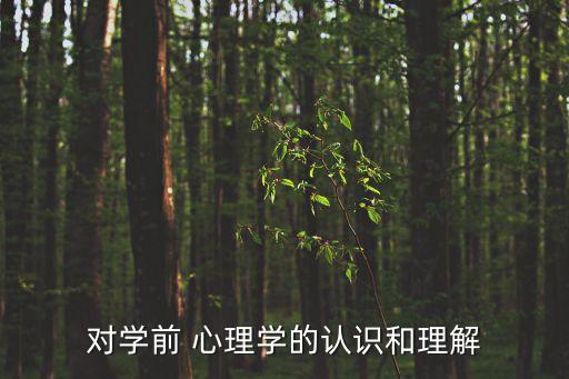 對學(xué)前 心理學(xué)的認(rèn)識和理解