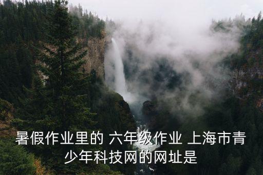 上海市青年課題，暑假作業里的 六年級作業 上海市青少年科技網的網址是