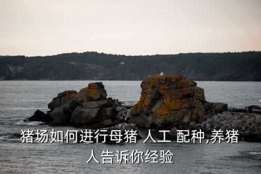 人工配種,人工授精是指通過(guò)人工方法采集公羊精液并輸入生殖道