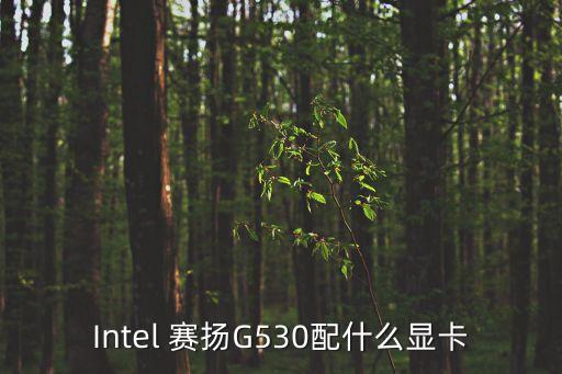 Intel 賽揚G530配什么顯卡