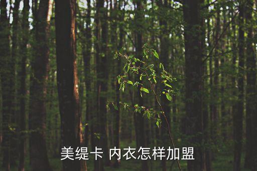 內衣店加盟,加盟內衣店需要多少錢?可參考以下幾個問題